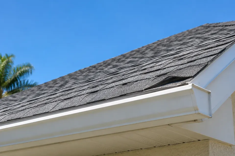 Generated illustration of a residential roof edge in Pensacola.